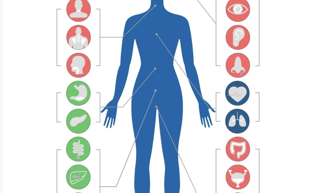 Natural health. Premise #2. What happens if the nervous system is interfered with or blocked?!