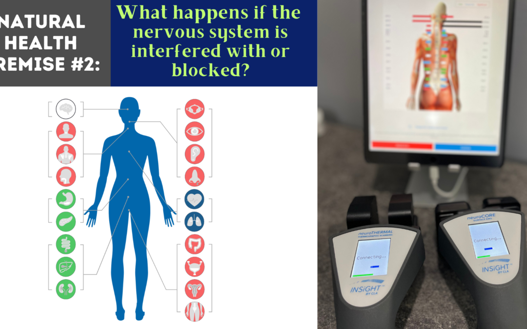 Natural health. Premise #2. What happens if the nervous system is interfered with or blocked?!